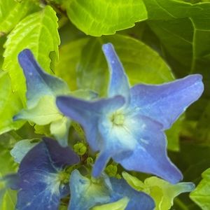 Meet your Posher, Kay